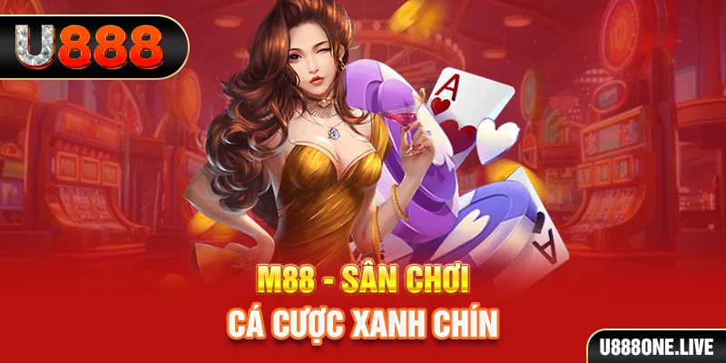 xo so66 sòng bạc LINK MỚI