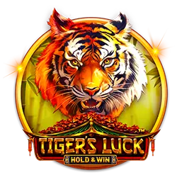 123bmoney casino Đăng nhập